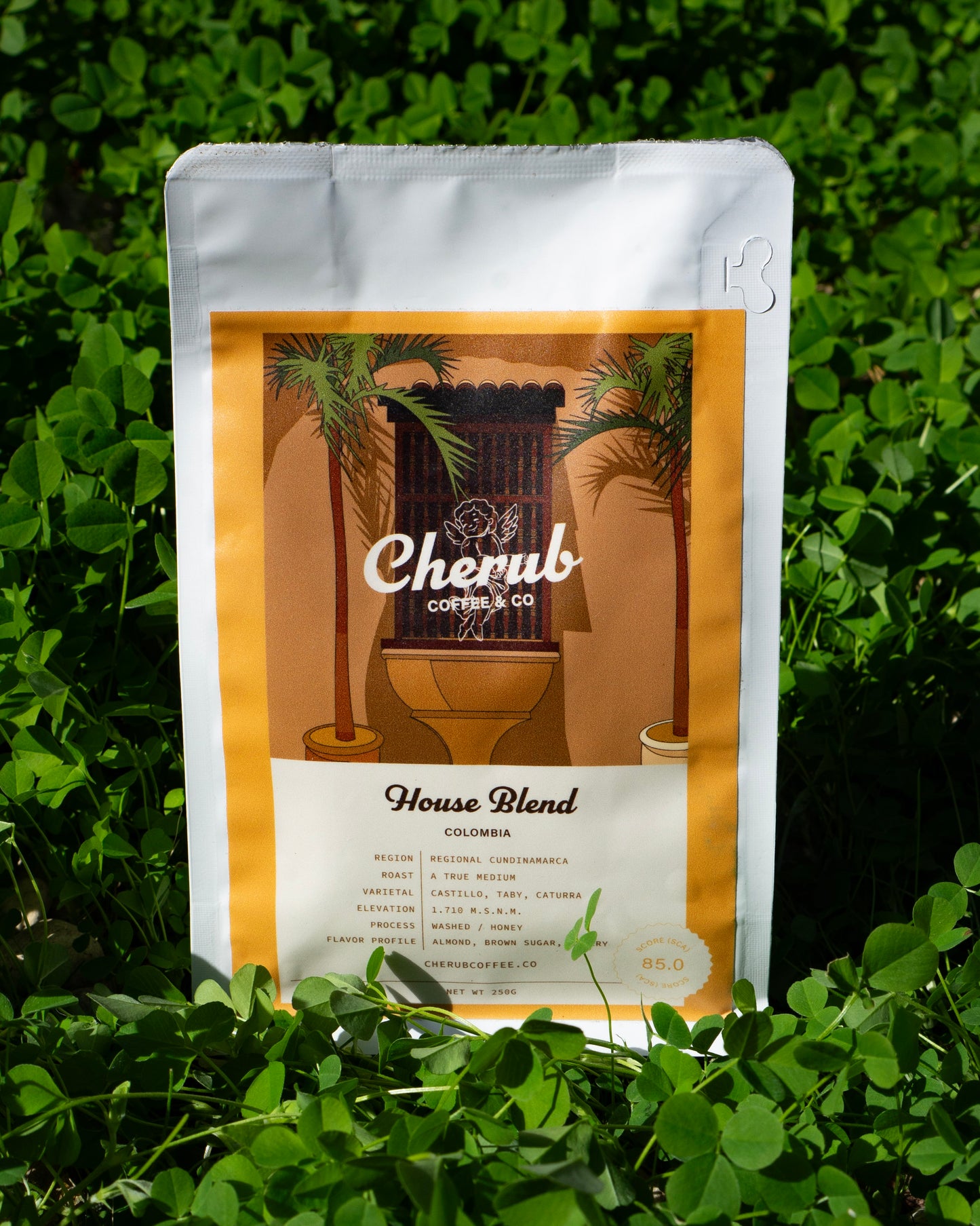 Cherub's House Blend Bag