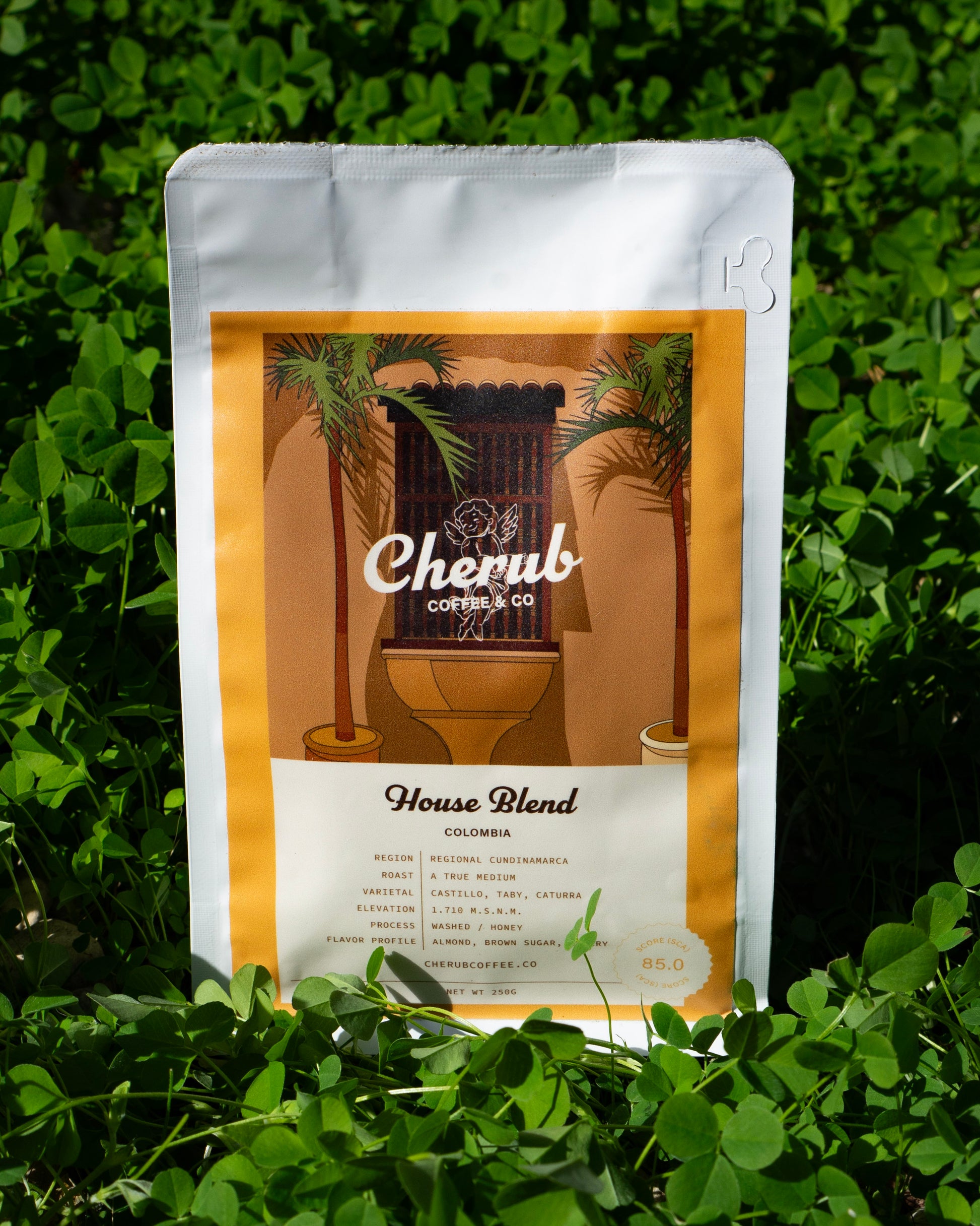 Cherub's House Blend Bag